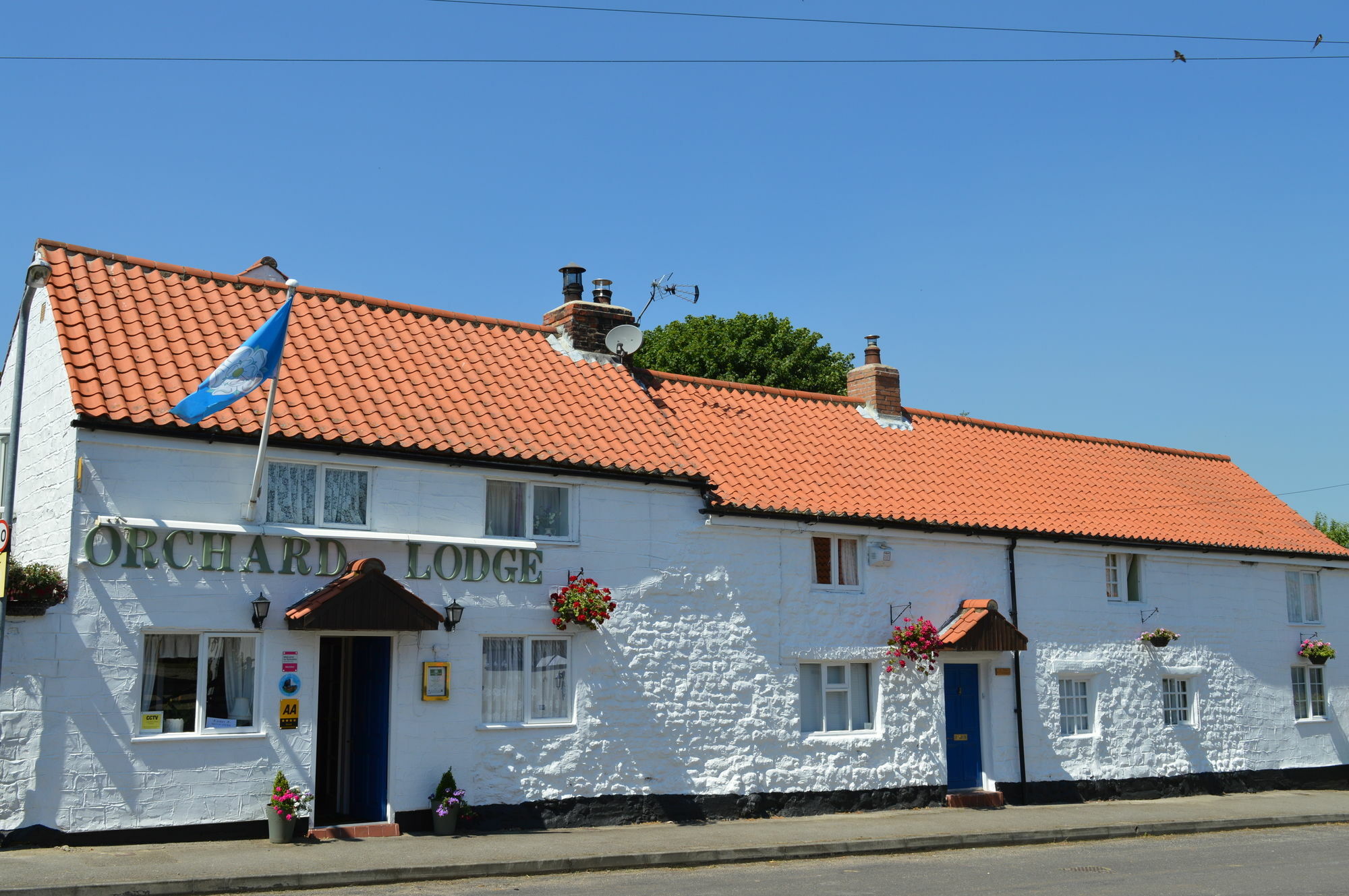 Orchard 5* Scarborough